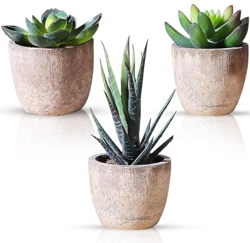 Qunkun Lot de 3 vraies plantes succulentes artificielles, fleurs artificielles, bonsaï avec pot, plantes décoratives pour balcon, bureau, salle de bain (B)