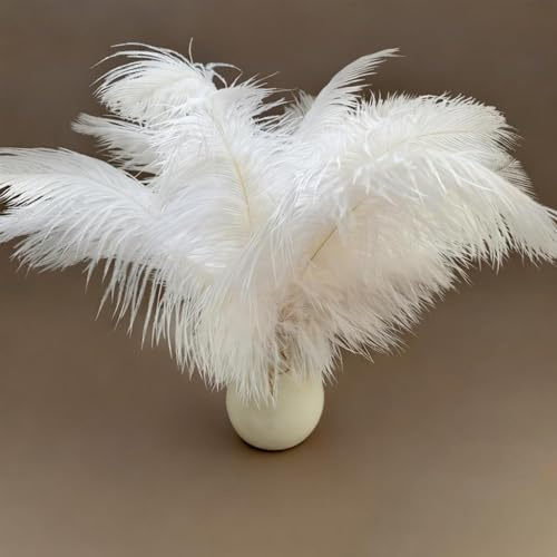 AYZDJ 10 Stück Straußenfedern, Natürlich, Weiß, 25–30 Cm, Große, Dekorative Flauschige Federn Für Tafelaufsätze, Hochzeit, Basteln Und Weihnachtsbaumdekoration