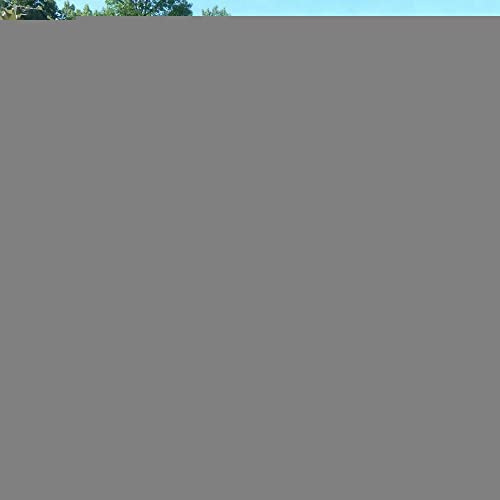 Camouflage Net Camouflage Net Sun Protection Nets Party Decoration Camouflage Sun Protection Net Privacy Screen Adjustable Car Tarpaulin Woodland Army