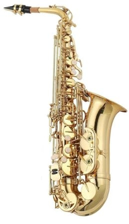 Altsaxophon für Erwachsene professionelles Anfänger-Spielinstrument Saxophon für Anfänger
