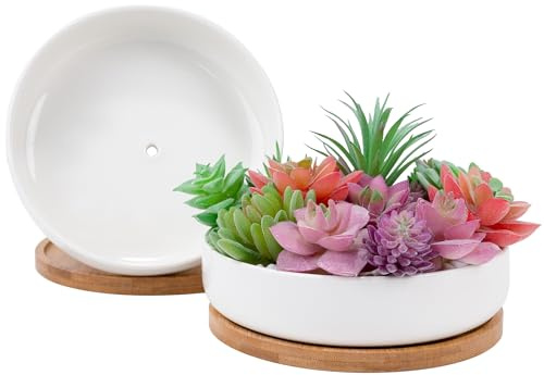Leismy 2 PCS Succulent Pot Cactus Containers White Ceramic Planter with Drainage Hole and Removable Tray Small Plant Pots for Home Office Decor Bonsai Container for Indoor Outdoor Plants (Circle)