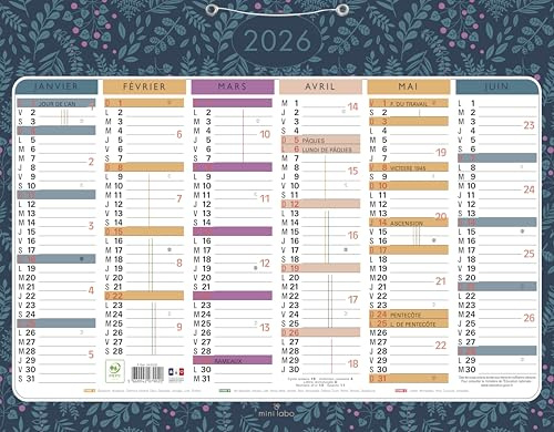 Exacompta - 34253E - Calendario Mini Labo con decorazione fronte/retro - 43 x 33,5 cm - Semestrale 2024 - Colori assortiti