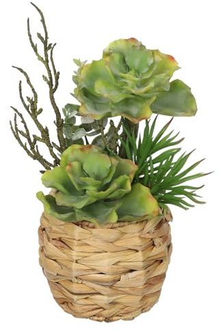 Hollyone 25cm Sukkulenten Pflanzen Künstlich im Gewebter Topf, Getöpferte Faux Sukkulente mit Eukalyptus Dekorative Pflanze, Kunstpflanzen Sukkulenten für Tischdeko Haus Bad Regal Indoor Dekoration
