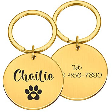 Haustier-ID-Tags Kundenspezifischer Name Adresse Haustier-Erkennungsmarken Katzenhalsband Haustier-ID-Erkennungsmarken Halsbänder Edelstahl-Katzenmarken-Zubehör,Gold,M 25x25mm