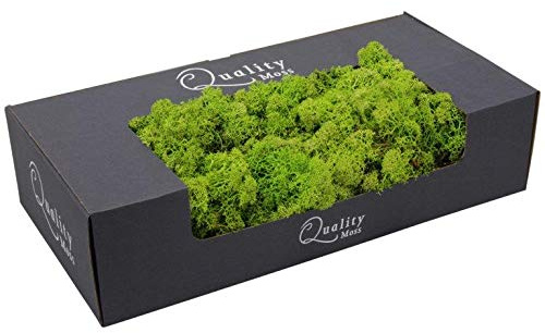 Finnland - Moos zum Basteln - vorgereinigt - präpariert & gefärbt - Luftgetrocknet - Bastelmoos Finnlandmoos (Hellgrün, 500g)