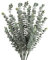 5 PCS (15 Ramas) Plantas de eucalipto artificial, Decoraciones con 3 cabezas de rama, Flor seca para decoración el hogar, Altura 74cm