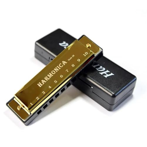 Mundharmonika 10 Löcher Harfe 20 C-Ton diatonische Harfe Tonart C Blues(Gold)