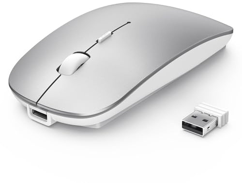TECKNET Bluetooth Maus, Kabellose Mouse mit 6 einstellbare DPI | 2.4G USB Funkmaus, 4 Tasten Wireless Mouse, Bluetooth 5.0 Tragbare Mini Funkmaus für Laptop/MacBook/Computer