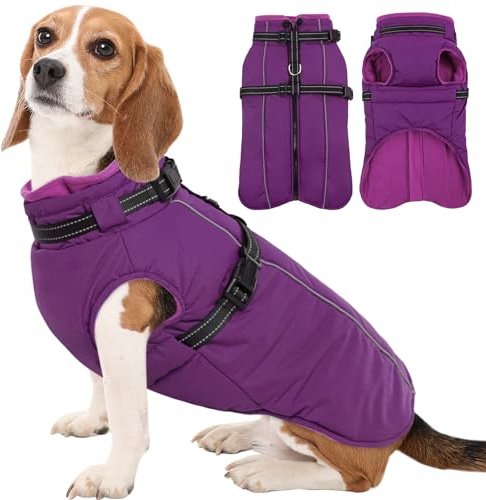 Kuoser Hundemantel für Mittelgroße Hunde Winter, wasserdichte Hundejacke mit Geschirr, Warmer Wintermantel Hund mit Fleecefutter, Fleecemantel Hundepullover Lila M