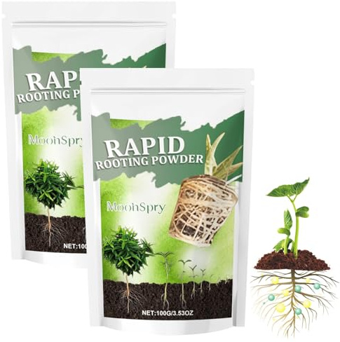 Activateur de racines, 2X100 g, poudre d'enracinement rapide, tonifie et renforce la croissance des plantes et des racines, poudre d'enracinement pour boutures – Intérieur et extérieur, stimulateur de