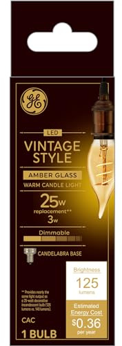 GE Vintage Style LED Light Bulb, 25 Watt, Amber Finish, Decorative Bulb, Small Base (1 Pack)