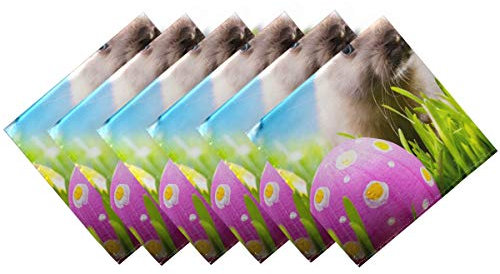 CaTaKu Happy Oster-Servietten, Cocktail-Servietten, Osterhase, Servietten, Tischservietten, Abendessen, waschbar, wiederverwendbar, für Party, Zuhause, Küche, Dekoration, 50,8 x 50,8 cm Casual 20'' x