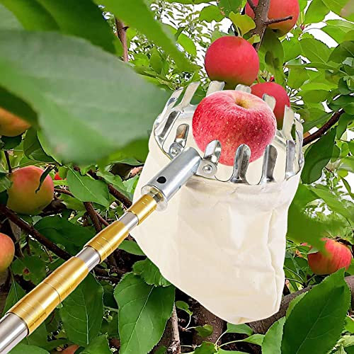 LekLai Obstpflücker, Obstpflückerstange Mit Korb, Teleskop-Obstgreifer, Apfelpflücker, Outdoor-Pflückwerkzeug/2.1M/7 Ft