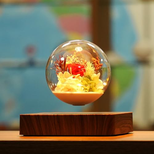 MAGECMOON Magnetic Levitation Preserved Flower, Forever Real Eternal Roses, Floating Lamp Levitating LED Light Bulb, Gifts for Kids Lover Friends (Dark)
