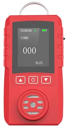 Détecteur de fuite Détecteur de pic de gaz de sulfure d'hydrogène portable H2S Petector 0-100PPM résister aux environnements exigeants