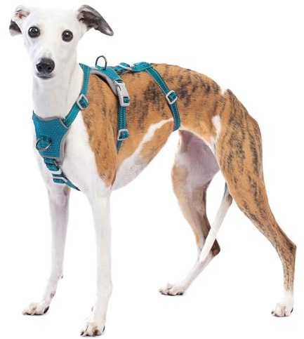 Huntboo Pettorina Antifuga Cane, Pettorina Cane Taglia Media Grande Piccola, Imbracature Riflettenti Anti-Trazione per Animali, Regolabile, Traspirante per Allenamento e Corsa (Blu,S)
