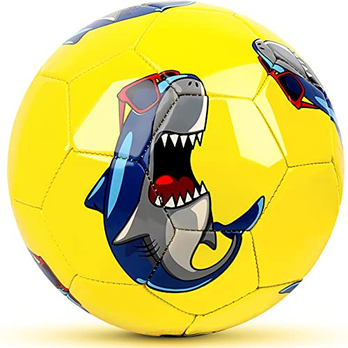 Champhox Kinder Fußball Ball mit Pumpe, Cartoon-Design, Freizeitball für drinnen und draußen, für Mädchen und Jungen (Größe 1, Shark)