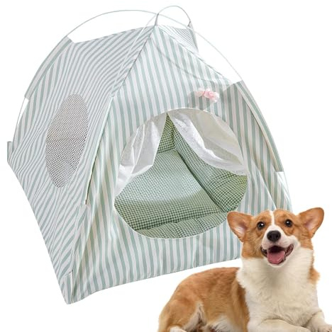 Haustierzelt – Hund Katze Haustier für drinnen und draußen | Transportbox Übungszwinger | Hundezelt Indoor halbgeschlossen | Bequemes Tier-Ruhekissen mit Netz, abnehmbar, waschbar für Hase