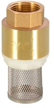 Clapet anti-retour à bande métallique Clapet anti-retour femelle en laiton BSPP 1/2 3/4 1 2 avec filtre acier DN15 DN25 DN40(1l2 (Steel mesh))