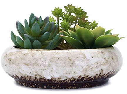 VanEnjoy, Vaso rotondo in ceramica smaltata per piante grasse, 18,5 cm, con foro di drenaggio, vaso per bonsai, decorazione da giardino, contenitore per cactus e fiori (bianco)
