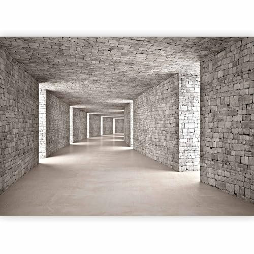murando Photo Wallpaper 3D Tunnel 294x210 cm Peel and Stick Self-Adhesive Foil Print Wall Mural Wand Wall Brick Textur d-B-0332-a-a