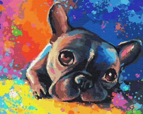 Artnapi Malen nach Zahlen Erwachsene mit Rahmen | DIY Handgemalt | Farbige Bulldogge | Kit für Anfänger und Erwachsene | Set inklusive Acrylfarben & Pinsel | 40x50cm Leinwand | Ideal als Geschenk