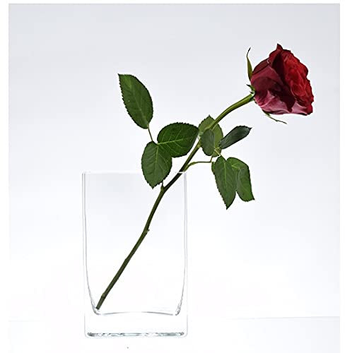 EMH Jarrón pequeño de cristal grueso hecho a mano, rectangular, 16 cm