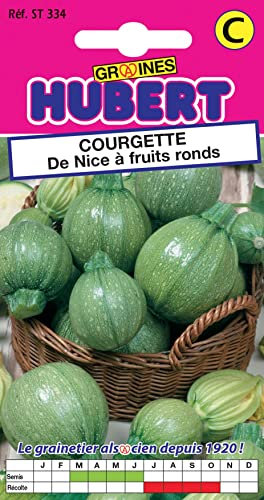 Graines de Courgette de Nice à fruits ronds - 3 grammes