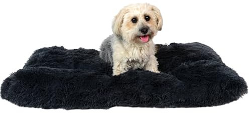 petzy Plüsch Hundebett I 100x70x14 cm I flauschig & waschbar für große, kleine und mittlere Hunde I multifunktionale Hundematte extra dick & bequem I Hundekissen & Katzenkissen I (L, Anthrazit)