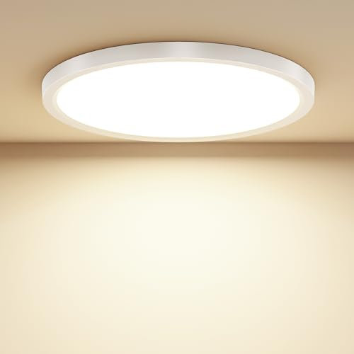 Taipow 18W 2448LM 4000K Plafoniera Led Soffitto Moderna, IP44 Lampada da Soffitto Rotonda per Garage Corridoio Bagno Camera da letto Cucina Seminterrato Ø22CM
