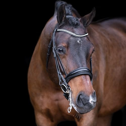 Imperial Riding Kandarenzaum IRHAthena, Black, P/S