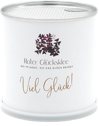 MacFlowers® | Odlingsset med lila lyckoklöver | Lycka till | hållbar gåva i en söt omedelbar trädgårdsblomburk | present med hjärtblad