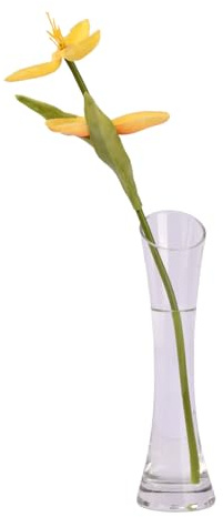 Culinavog Liten blomvas, smal vas, hög smal, miniöppning glasvas transparent för dekorativ heminredning, vardagsrum, kontor, matbord, bordsfästen, 20 cm