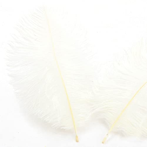 10 Stück 20-25cm Natürliche Straußenfedern,Strauß Feder zum Basteln,Bastel Federn für DIY Traumfänger Zubehör,Heimdekoration,KostüMe,Tischdeko Hochzeit Party Fest Hüte Kleidung Dekoration,Weiß