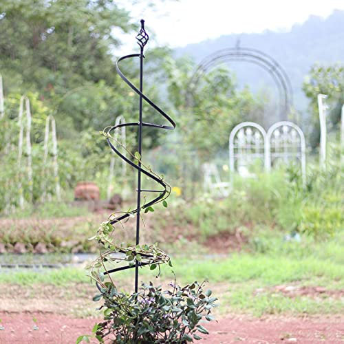 Tuteur Colonne de Jardin Pieu Tuteurs pour Plantes Treillis en métal Supports pour Plantes Grimpantes et Fleurs Bâtons pour Ornement de Jardin,la Maison Jardin Plante Grimpantes,Jardinage