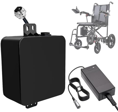 SSCYHT Batería Litio 24V 10Ah 14Ah Batería Repuesto 12Ah Baterías de Iones de Litio 24V Baterías sillas Ruedas para Kits Motor 200W - 350W con Cargador y BMS,24v12ah gx20 Male