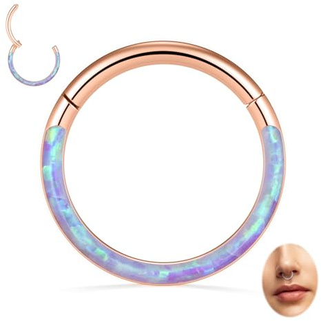 hengkaixuan 16G Nasenringe Septum Clicker 316L Chirurgisches Stahlsegment Helix Knorpel Conch Hoop Ohrringe Hoop Conch Hoop Daith Piercing Schmuck