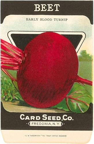 Beet Seed Packet - Vintage Image