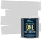 THE ONE Paint & Primer | Quick Drying Durable Paint | For Furniture, Cabinets, Front Door, Walls, Bathrooms, Kitchens and Tiles | Suitable for Interior/Exterior | Light Grey Matte, 250ml