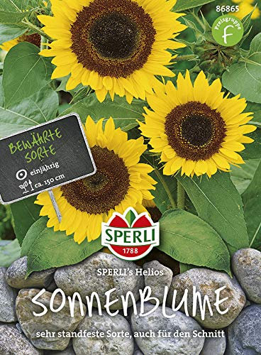 Sperli 86865 Sonnenblume Helios (Sonnenblumensamen)