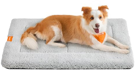 Feandrea Tapis Chien, Couverture pour Animaux, pour Chat, 105 x 70 cm, Taille XL, Lavable en Machine, Adapté au Sèche-Linge, Antidérapant, Gris Clair PPB020G01