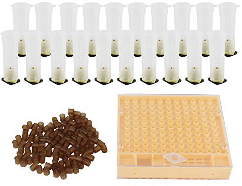 Cage de boîte d'élevage de Reine des Abeilles, kit de Tasse de cellules d'élevage en Plastique, Fournitures d'équipement d'apiculture, Outil d'isolation de Reine réutilisable et