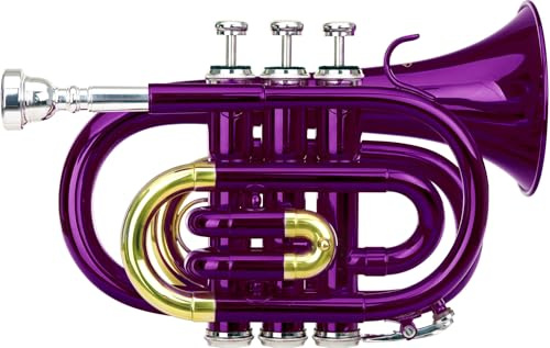 Classic Cantabile Brass TT-400 B-Taschentrompete (Messing, Schallbecher Durchmesser: 93 mm, Bohrung: 11,8 mm, Stimmung: B, inkl. Leichtkoffer, Mundstück, Putztuch, Handschuhe) klar lackiert (Violett)