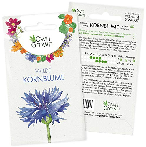 Premium Blaue Kornblume Samen für ca. 150x blühende Wilde Kornblumen Pflanze – Schöne Garten Blumen Saatgut, Blumenwiese Samen – Flower Seeds – Wildblumen Saatgut von OwnGrown