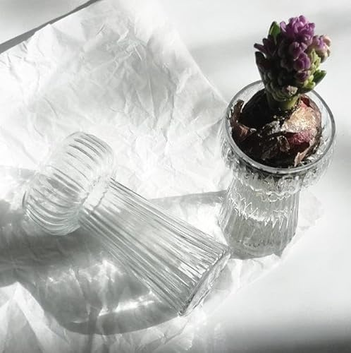 Clear Ribbed Texture Hyacinth Flower Bulb Glass Vase - Spring Bulb Vase Propagator Planter - Clear Glass Bud Flower Vase
