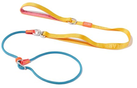 HowGo Slip Lead Dog Leash with Padded Handles | Lightweight Dog Training Leash with 360°Swivel Anti-Tangle | Heavy-Duty Lead and Collar for Large Medium and Small, No-Pull Walking (Multicolor, 5.5FT)