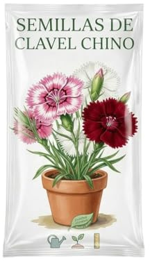 Semillas de Clavel Chino para Decorar Jardines y Balcones con Flores de Temporada en Primavera y Verano | DECOALIVE