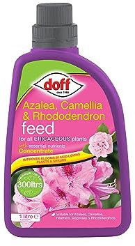 Doff Azalea, Camellia & Rhododendron Feed Concentrate – 1L Fast-Acting Plant Feed for Healthy Growth of Flowers & Shrubs – Seaweed Plant Food – Encourages Root Development – Makes 300L Feed