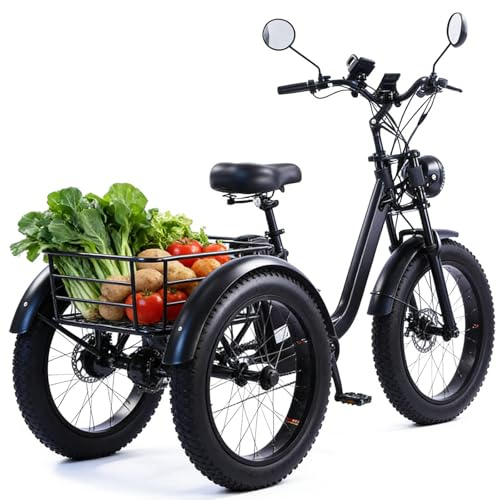 EaThsalL 24 E BIK 3 Rad Herren Damen Fatbike für Erwachsene Elektro Lastenfahrrad E-Bike Als Dreirad Fatbike-Fahrräder für Fahrer bis 200 kg – Robuste Erwachsenenfahrräder mit großem Korb B