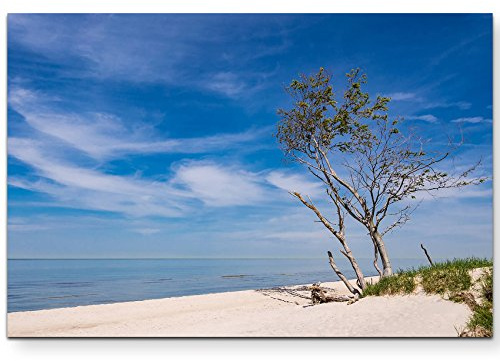 Leinwandbilder | Bilder Leinwand 120x80cm Baum am Strand – Ostsee